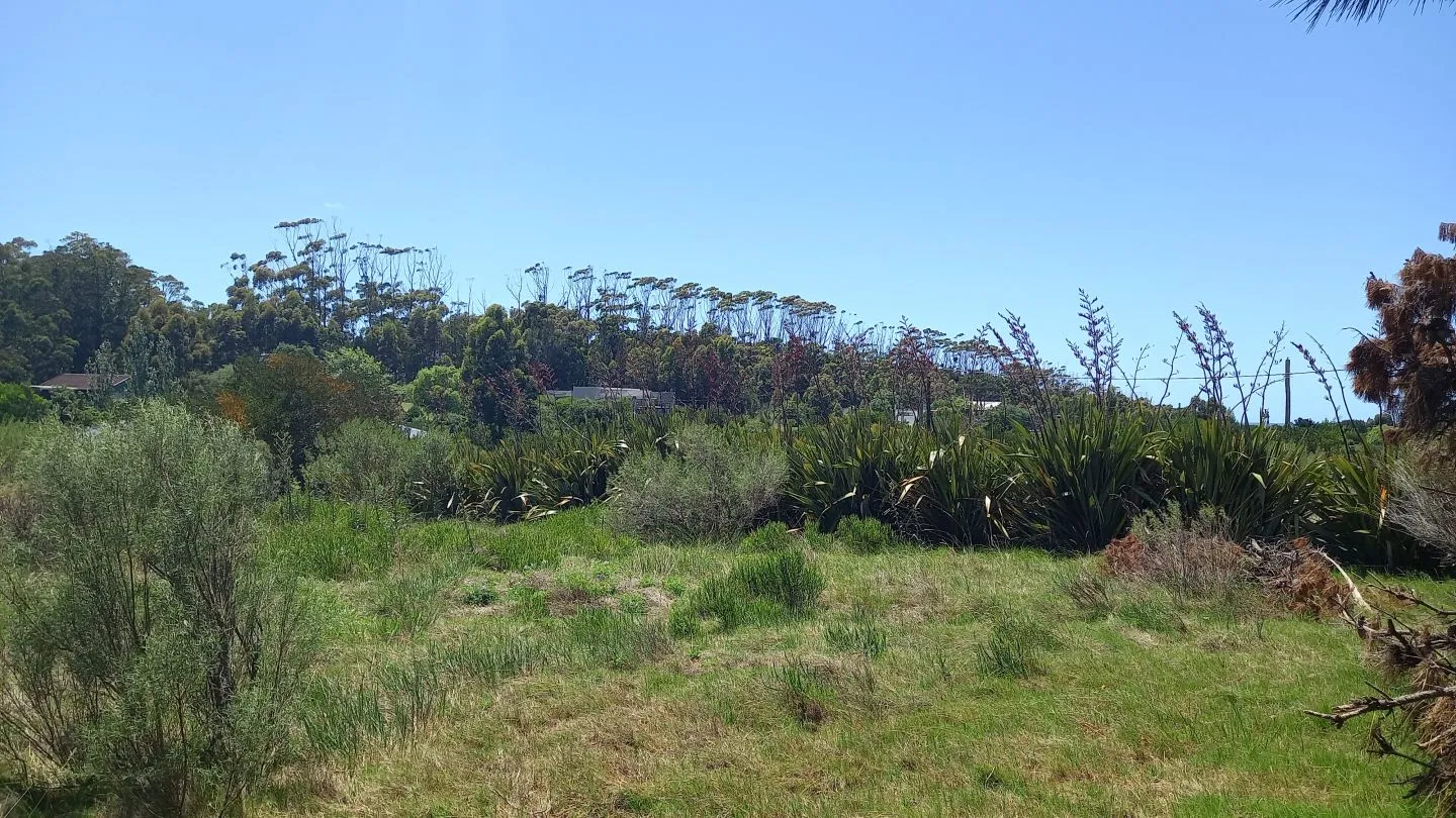 Terreno en La Barra — foto 5