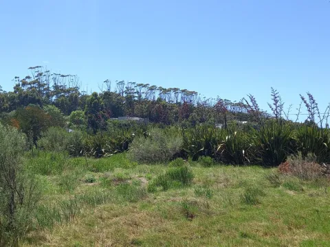 Terreno en La Barra — foto 5