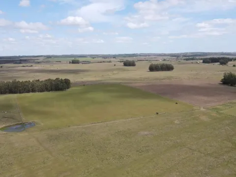 Chacra con casa a 1,5 km de Garzón y a 70 km de Punta del Es — foto 5