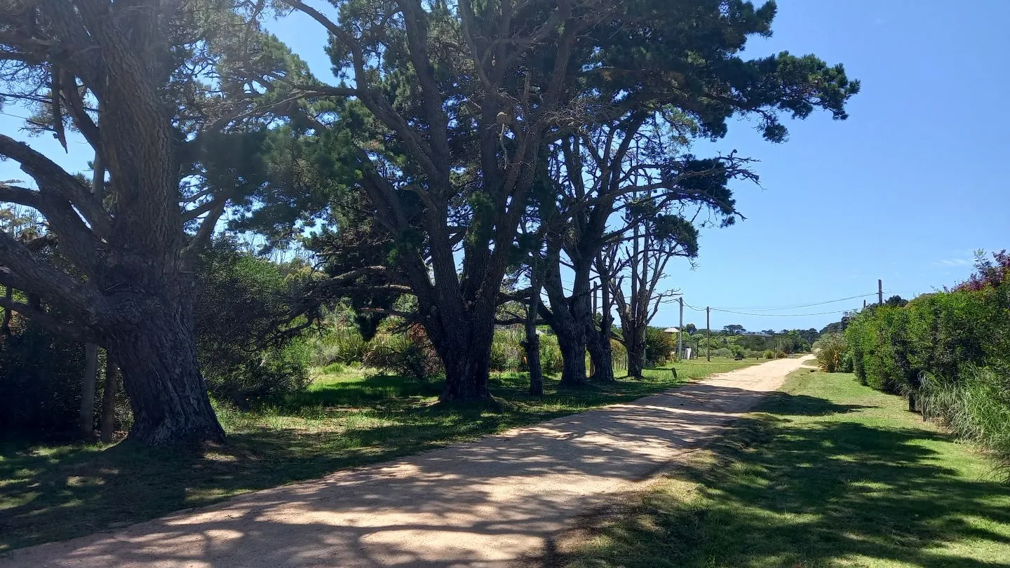 Terreno en La Barra — foto 12
