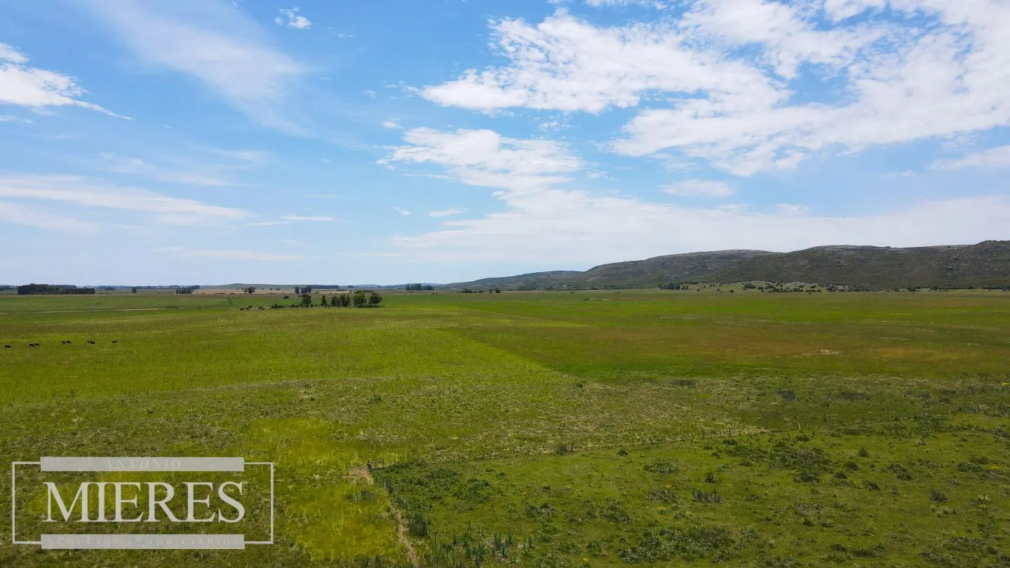 Campo Agrícola Ganadero 110ha Maldonado — foto 1