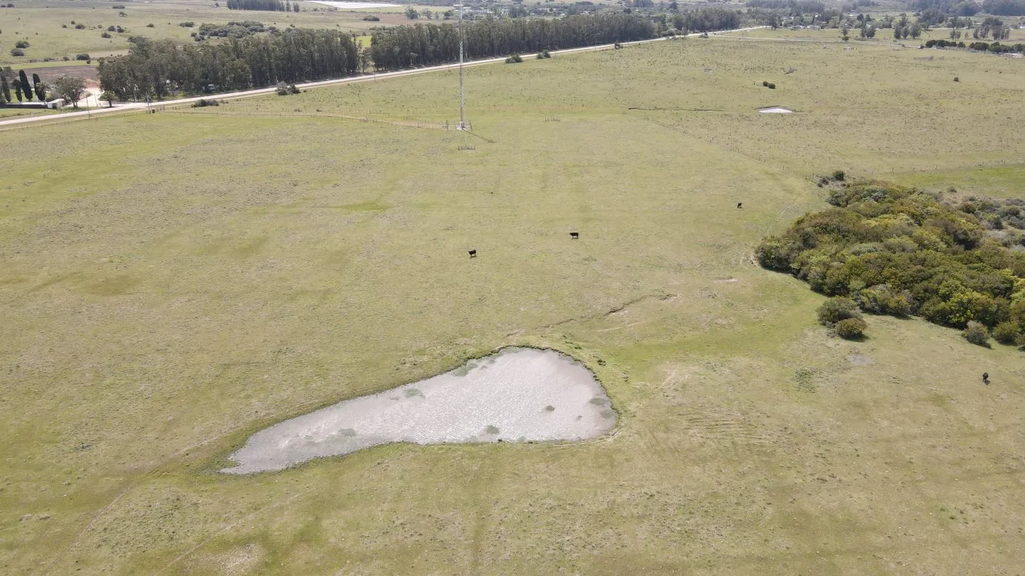 Chacra con casa a 1,5 km de Garzón y a 70 km de Punta del Es — foto 8
