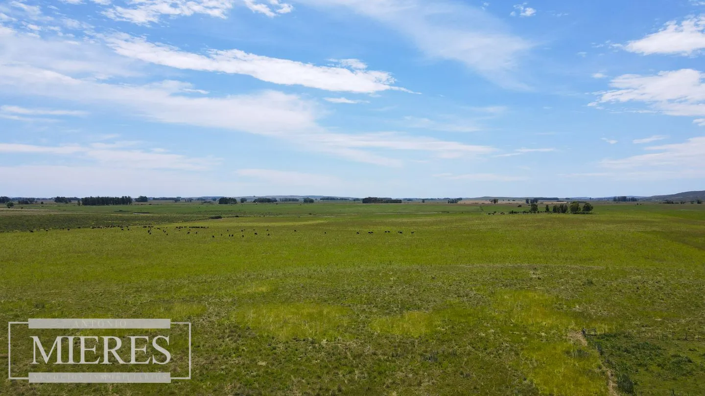 Campo Agrícola Ganadero 110ha Maldonado — foto 2