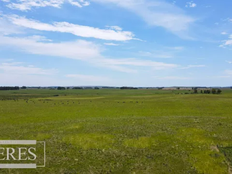 Campo Agrícola Ganadero 110ha Maldonado — foto 2