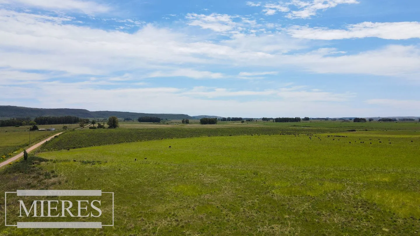Campo Agrícola Ganadero 110ha Maldonado — foto 3