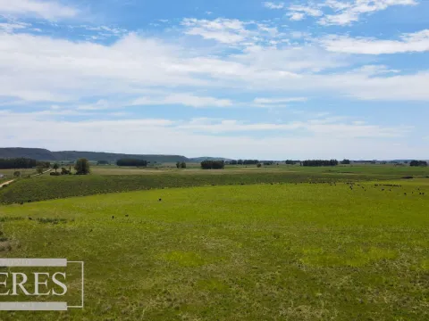 Campo Agrícola Ganadero 110ha Maldonado — foto 3