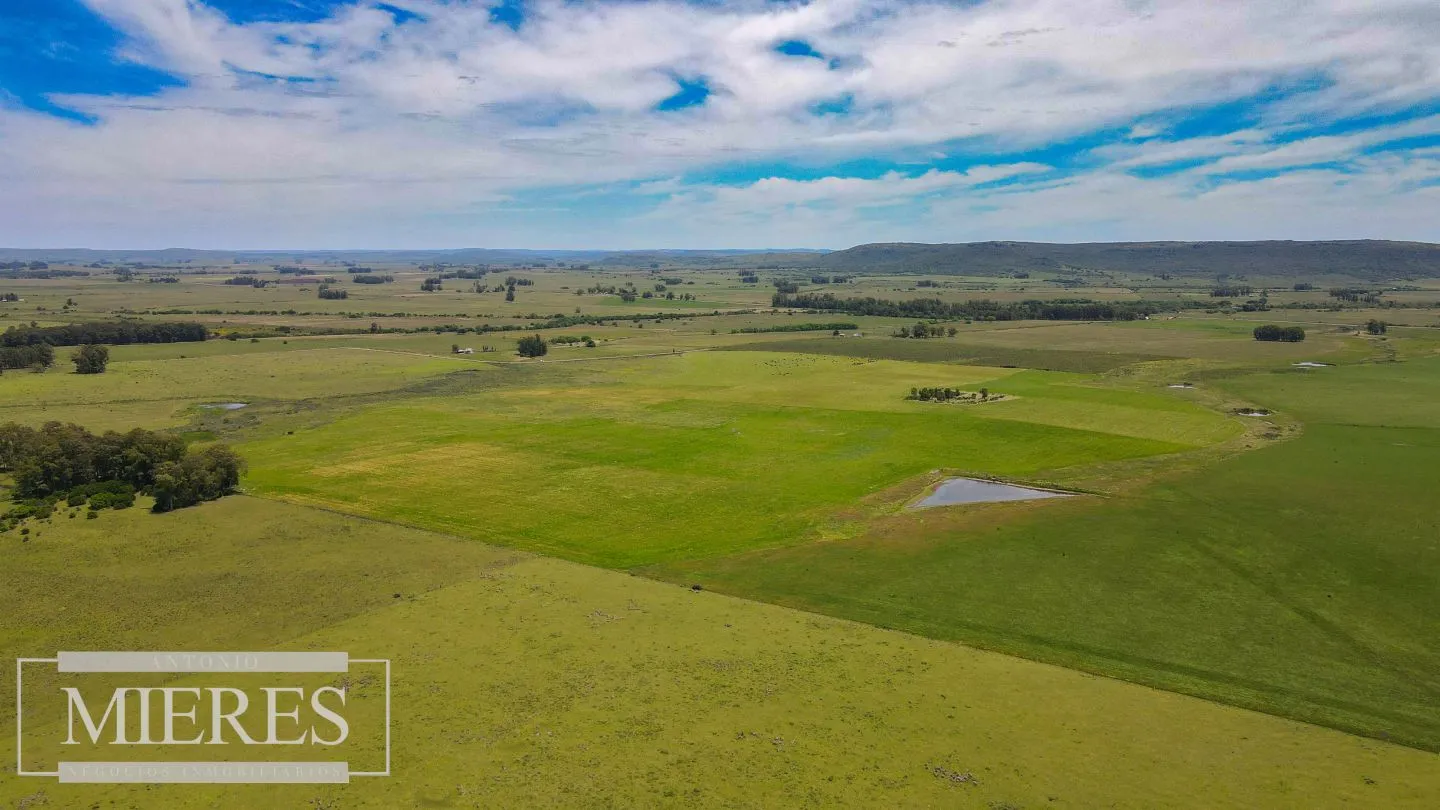 Campo Agrícola Ganadero 110ha Maldonado — foto 4