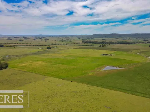 Campo Agrícola Ganadero 110ha Maldonado — foto 4