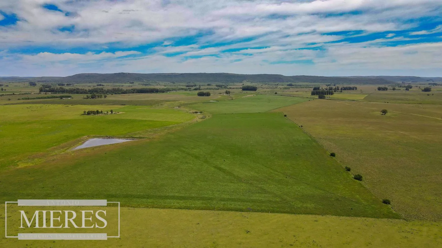 Campo Agrícola Ganadero 110ha Maldonado — foto 5