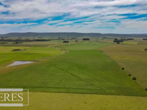 Campo Agrícola Ganadero 110ha Maldonado — foto 5