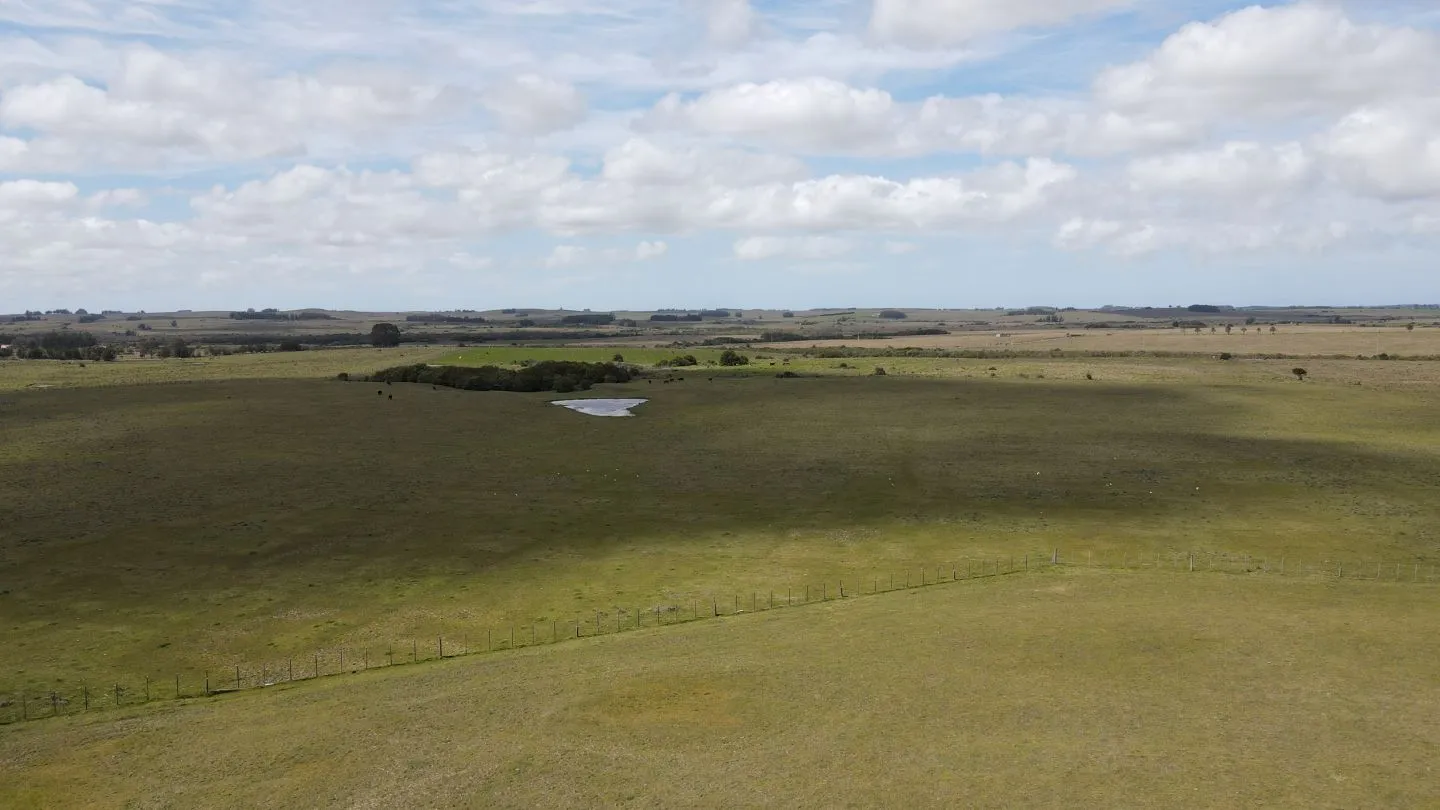 Chacra con casa a 1,5 km de Garzón y a 70 km de Punta del Es — foto 12