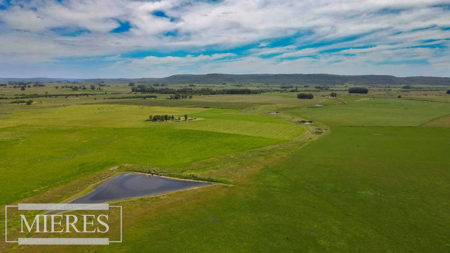 Campo Agrícola Ganadero 110ha Maldonado — foto 6