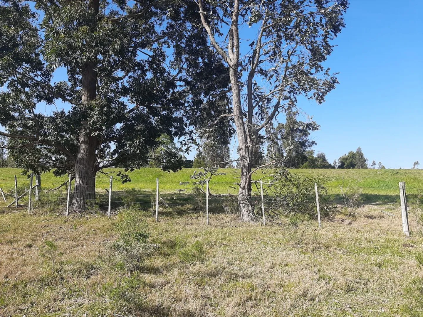 Chacra de 5ha sobre ruta 9 — foto 1