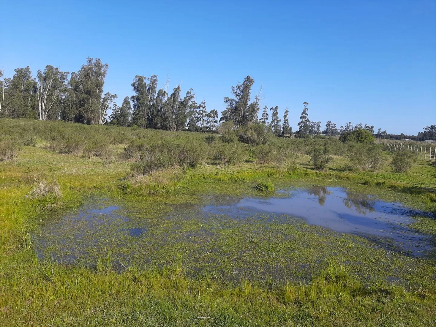 Chacra de 5ha sobre ruta 9 — foto 2