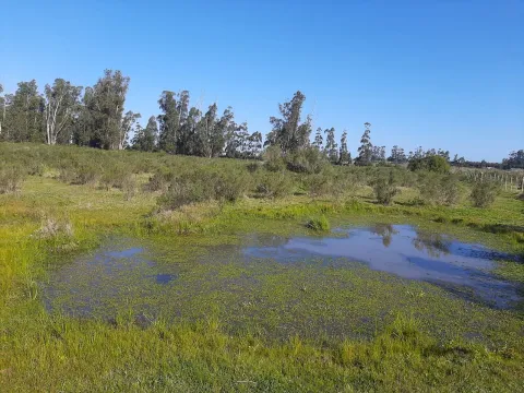 Chacra de 5ha sobre ruta 9 — foto 2