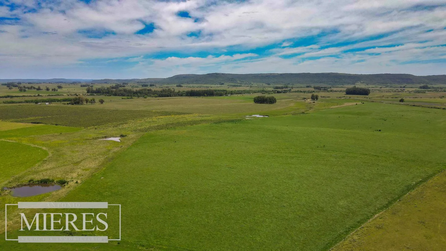 Campo Agrícola Ganadero 110ha Maldonado — foto 8