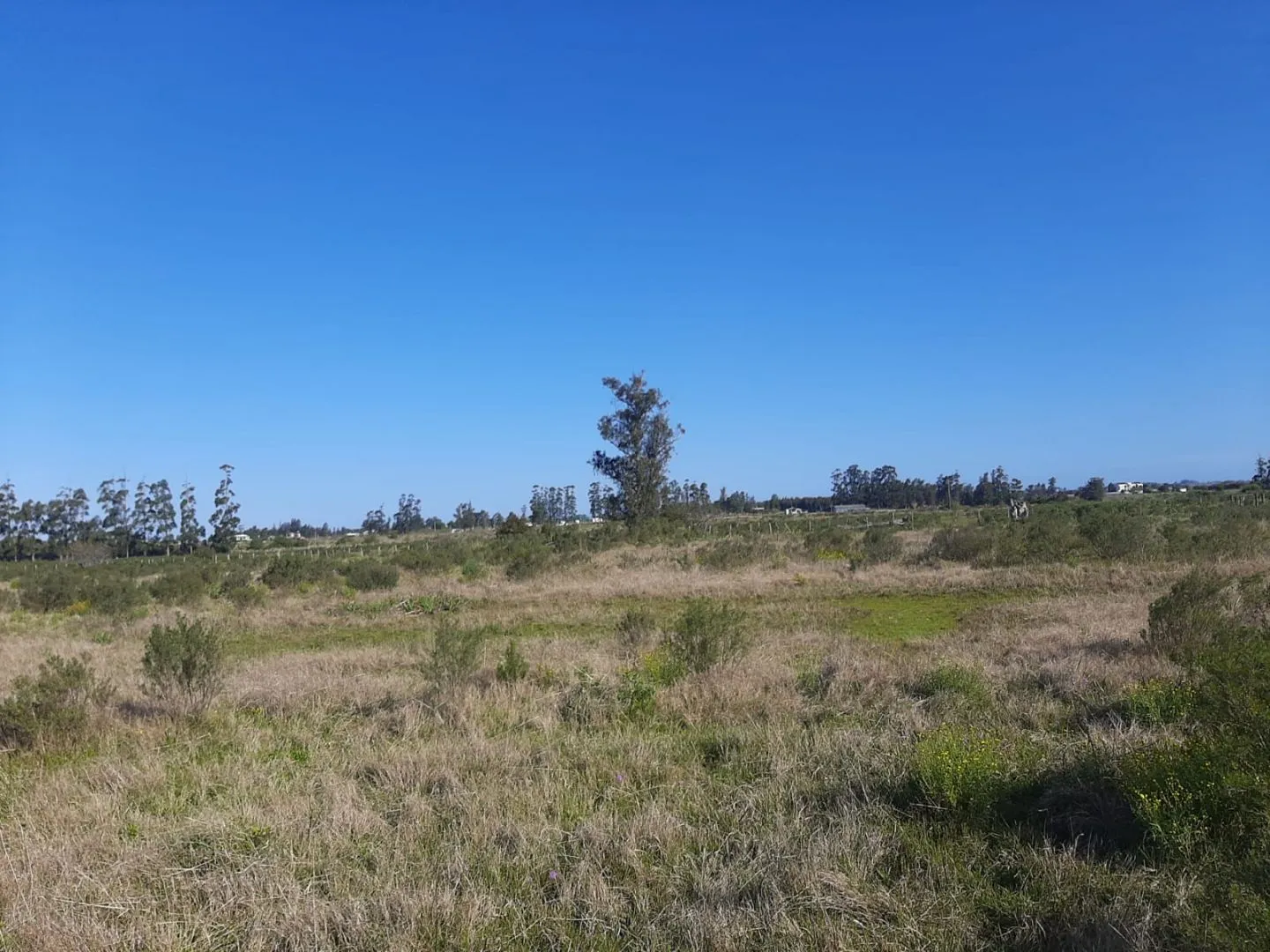 Chacra de 5ha sobre ruta 9 — foto 3