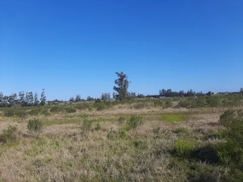 Chacra de 5ha sobre ruta 9 — foto 3