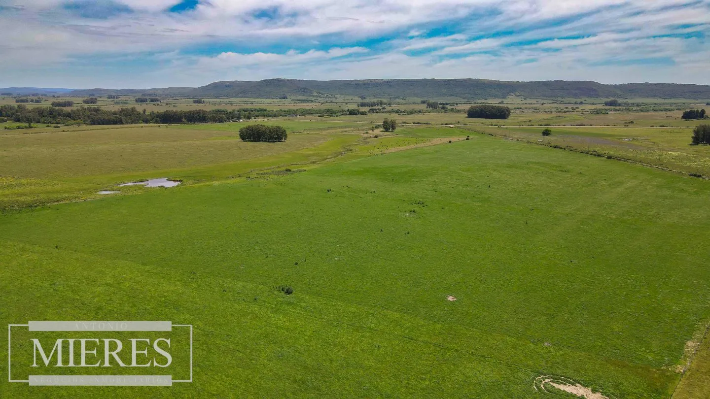 Campo Agrícola Ganadero 110ha Maldonado — foto 9