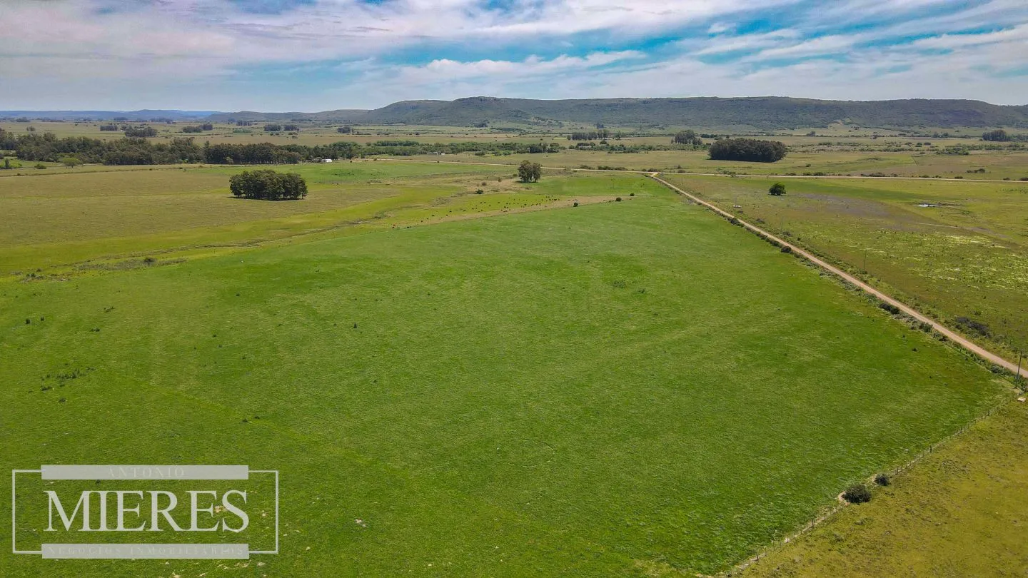 Campo Agrícola Ganadero 110ha Maldonado — foto 10