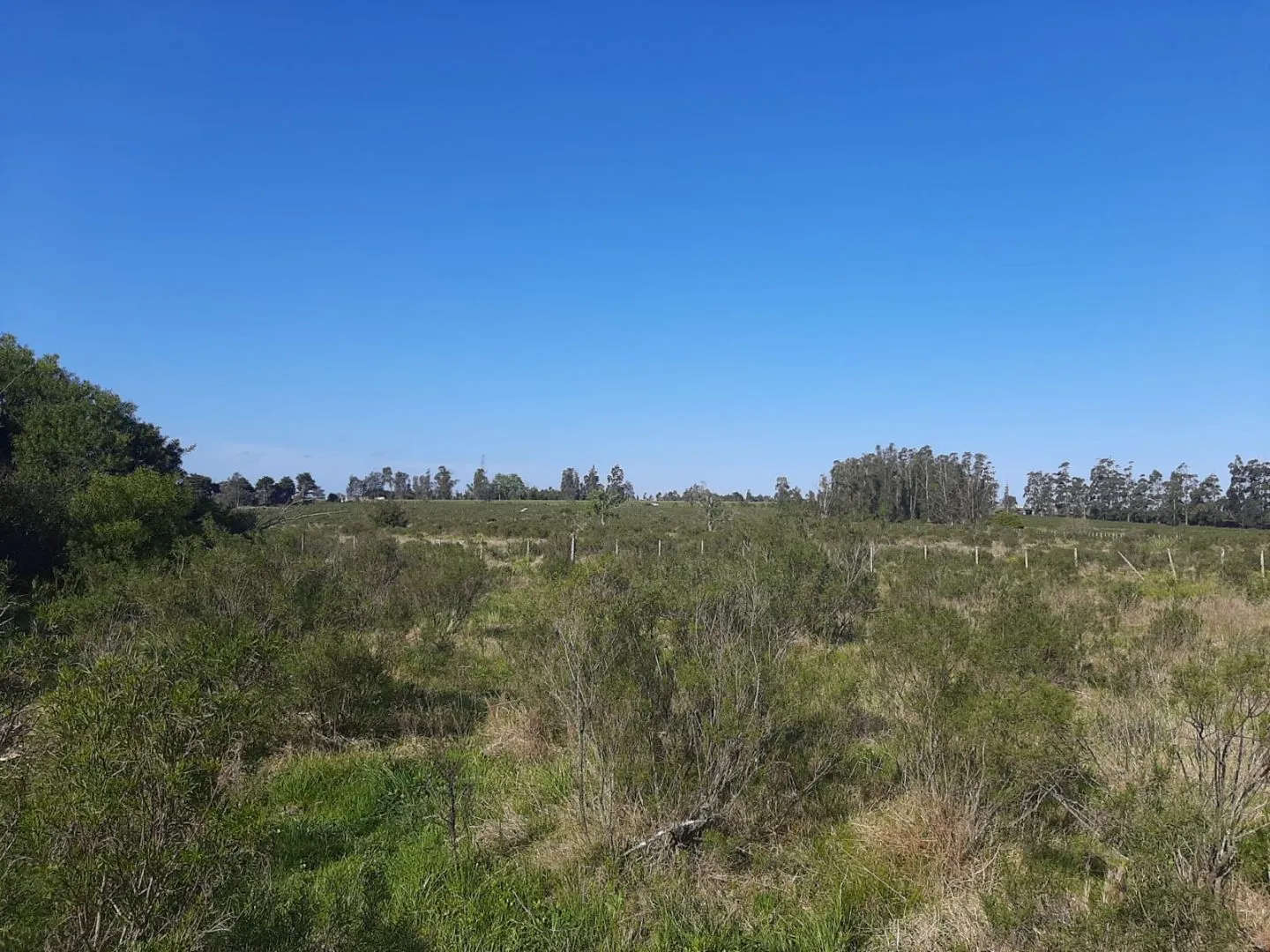Chacra de 5ha sobre ruta 9 — foto 5