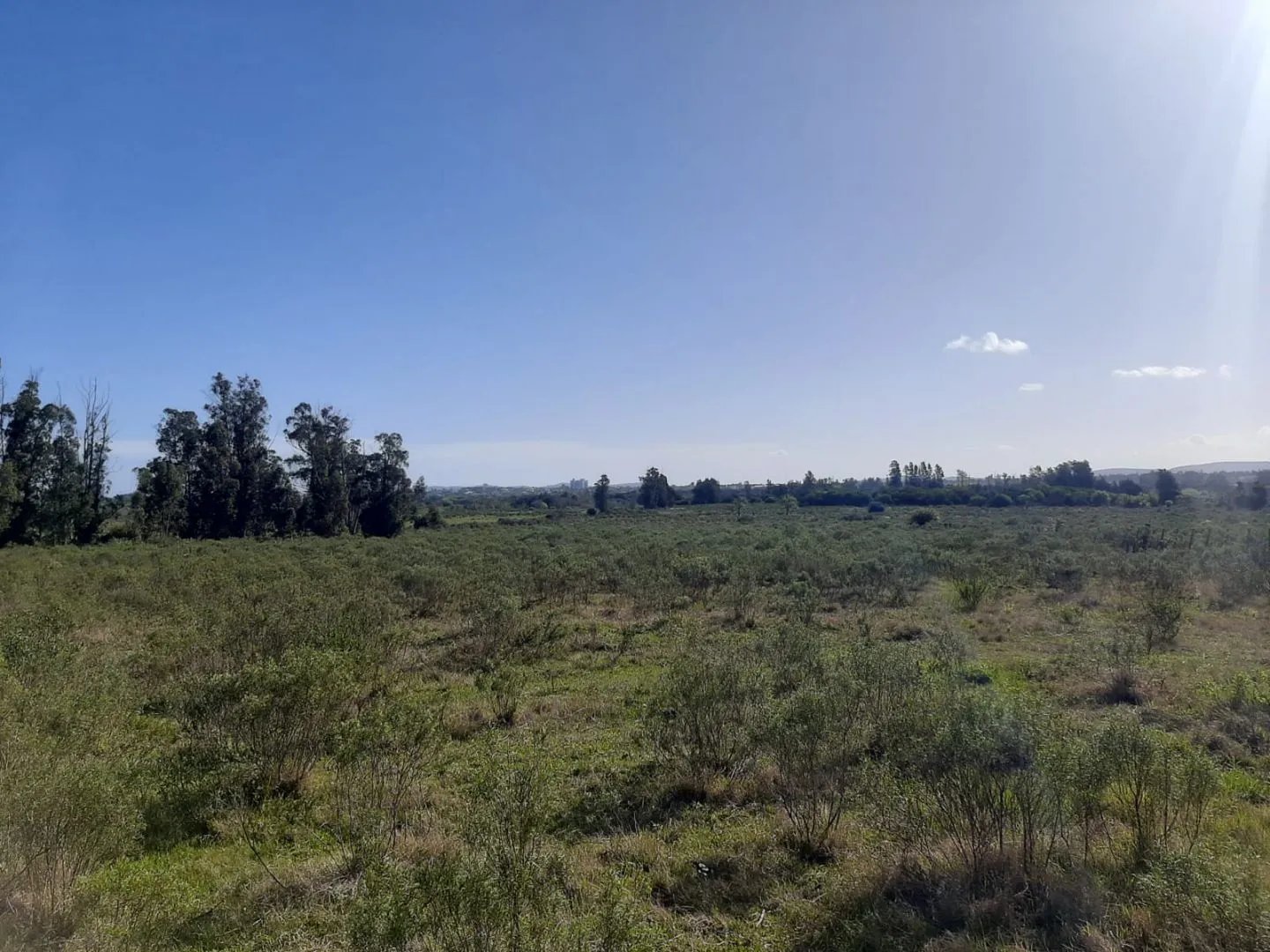 Chacra de 5ha sobre ruta 9 — foto 7