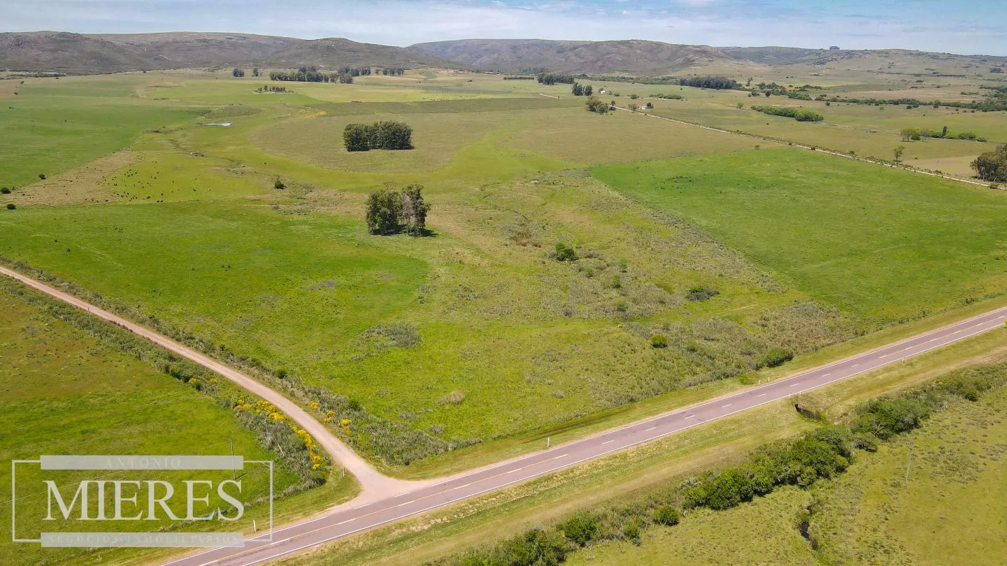 Campo Agrícola Ganadero 110ha Maldonado — foto 14
