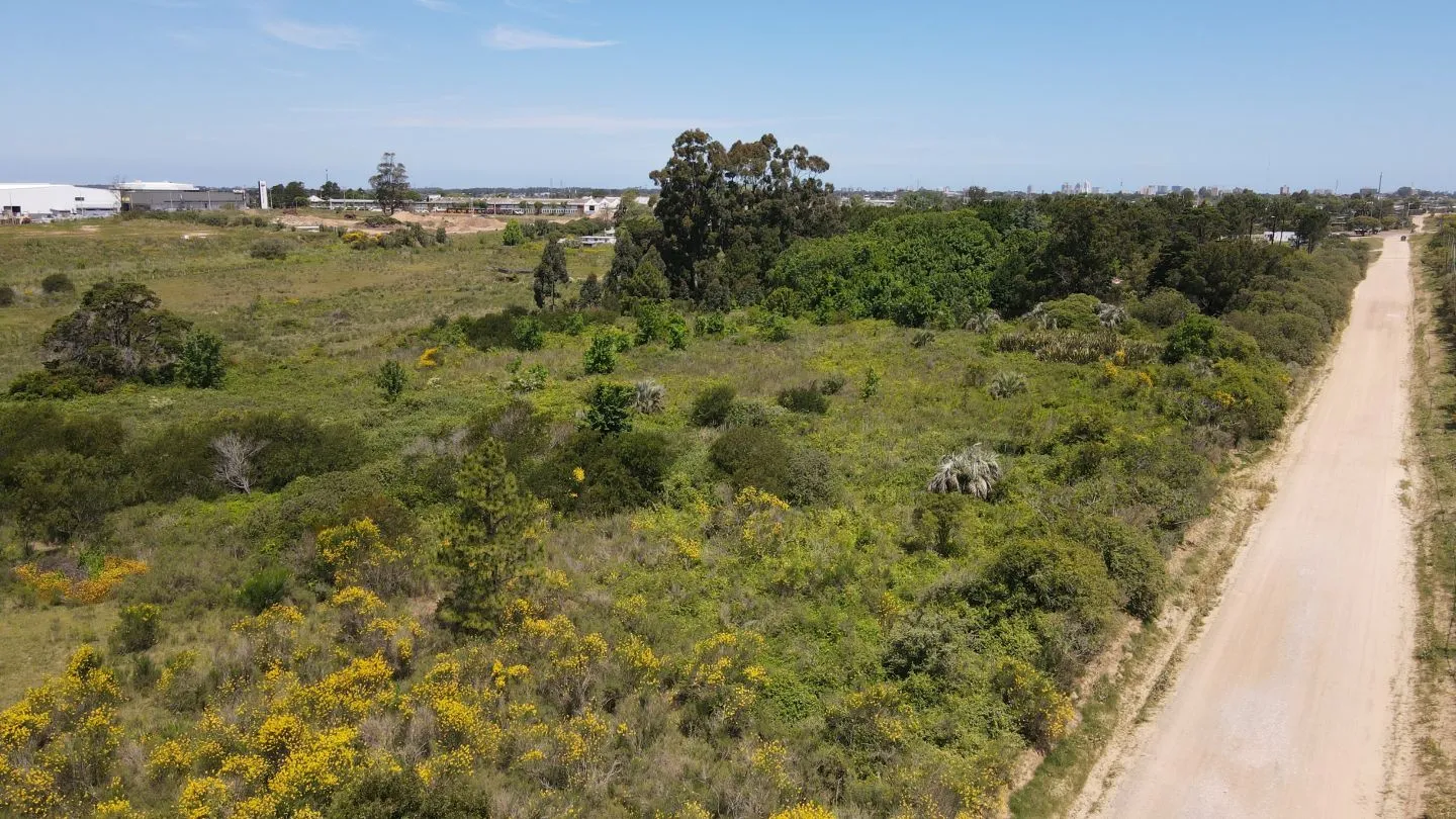 Terreno en zona para emprendimiento logístico Maldonado — foto 1