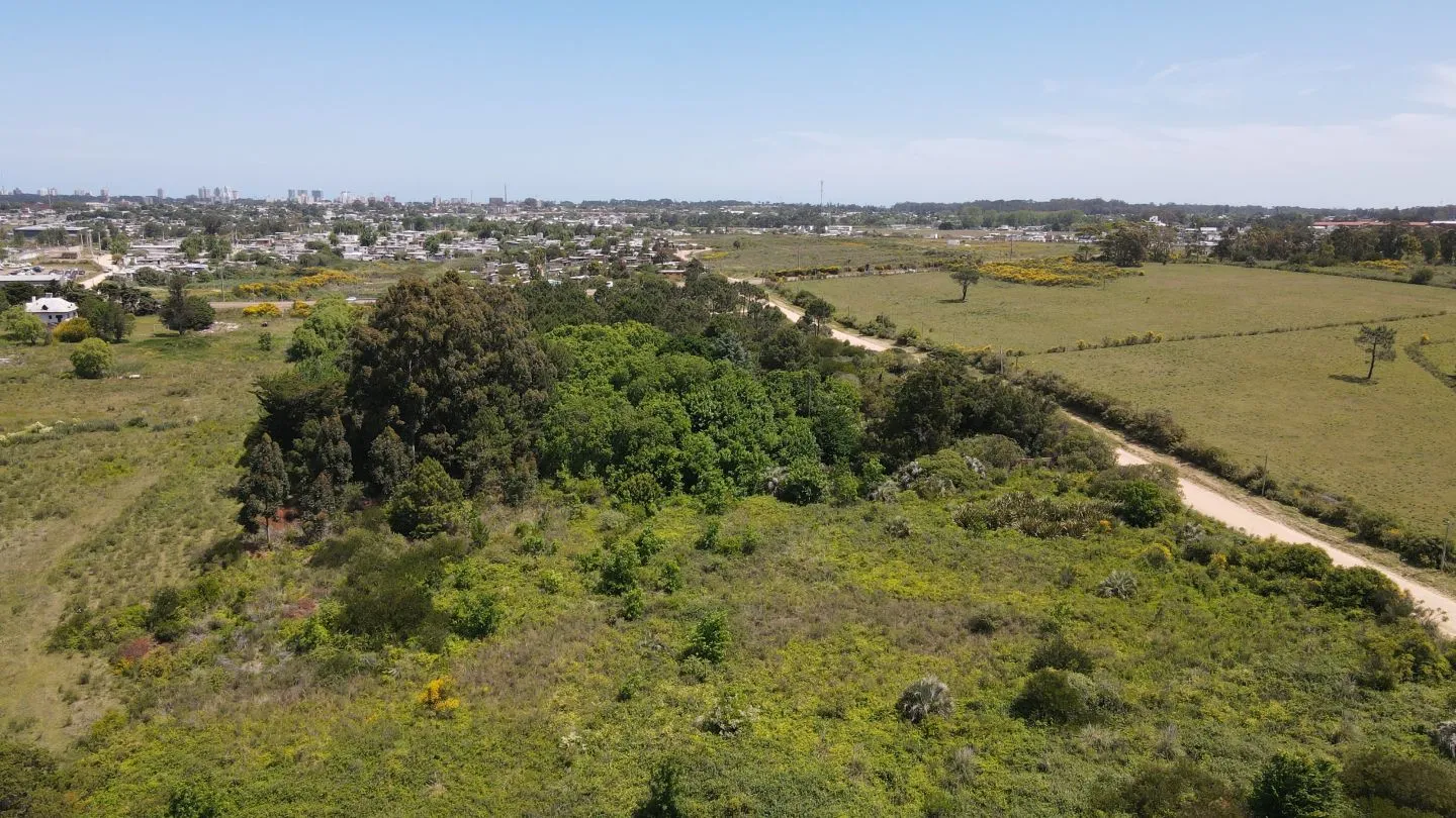 Terreno en zona para emprendimiento logístico Maldonado — foto 2