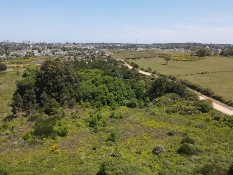 Terreno en zona para emprendimiento logístico Maldonado — foto 2