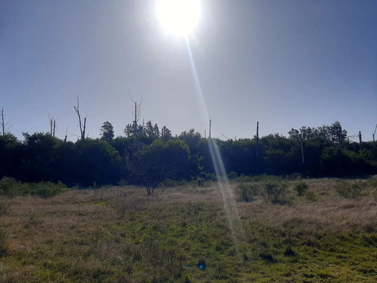Chacra de 5ha sobre ruta 9 — foto 10