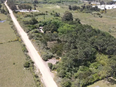Terreno en zona para emprendimiento logístico Maldonado — foto 5