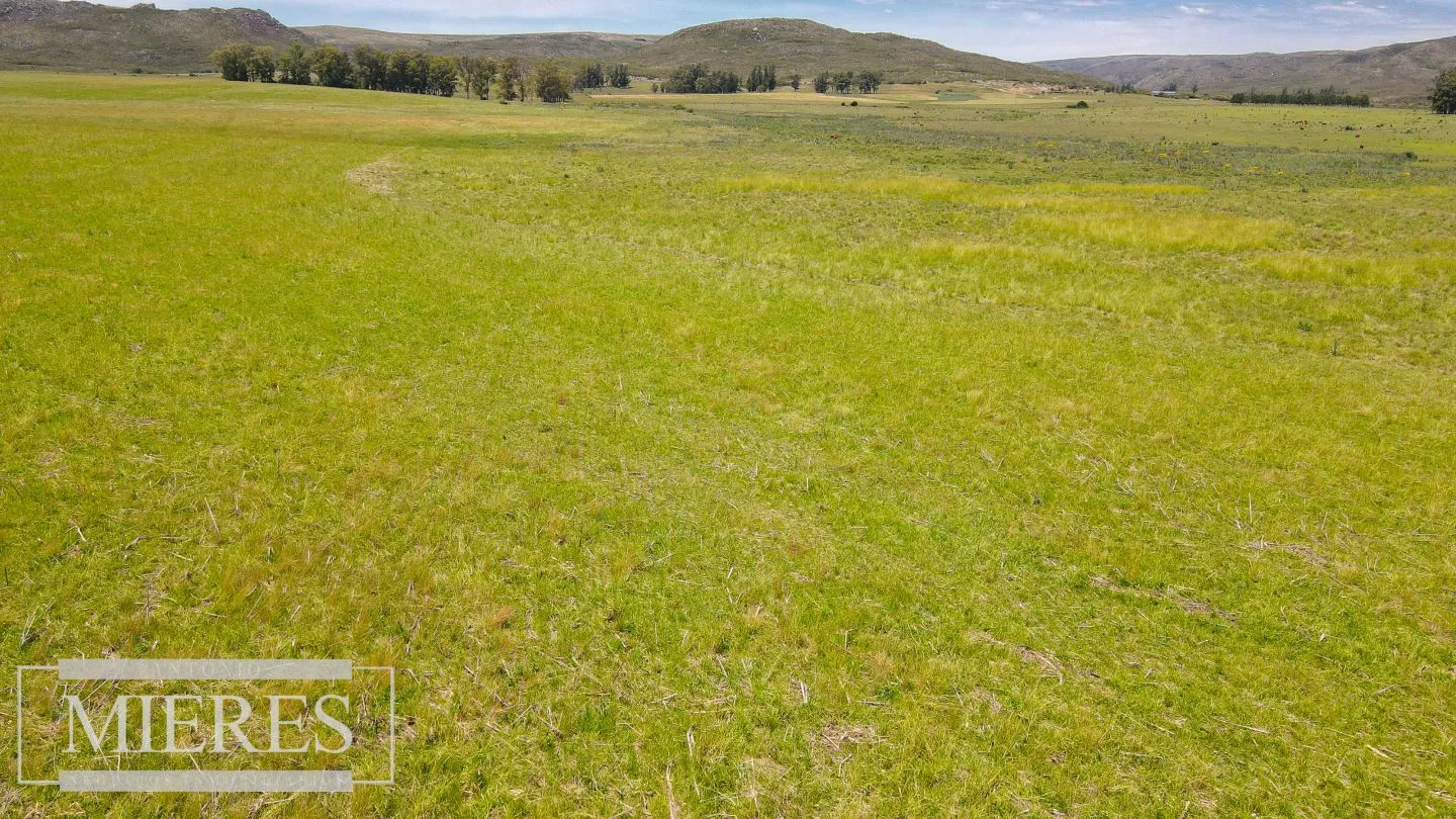 Campo Agrícola Ganadero 110ha Maldonado — foto 20