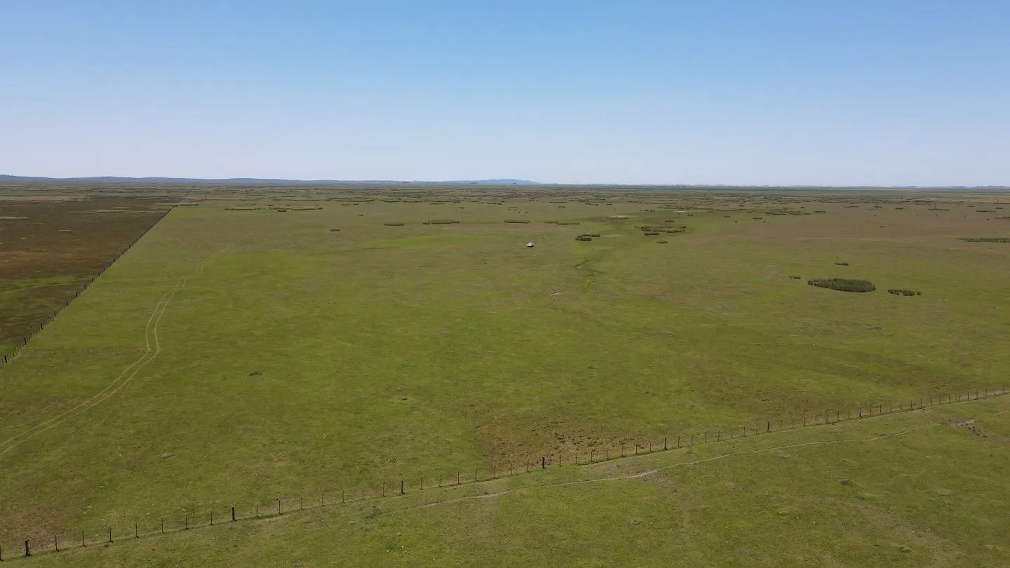 Campo Ganadero de 3000ha Rocha — foto 2