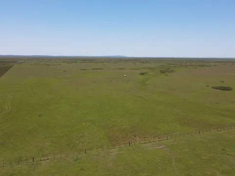 Campo Ganadero de 3000ha Rocha — foto 2