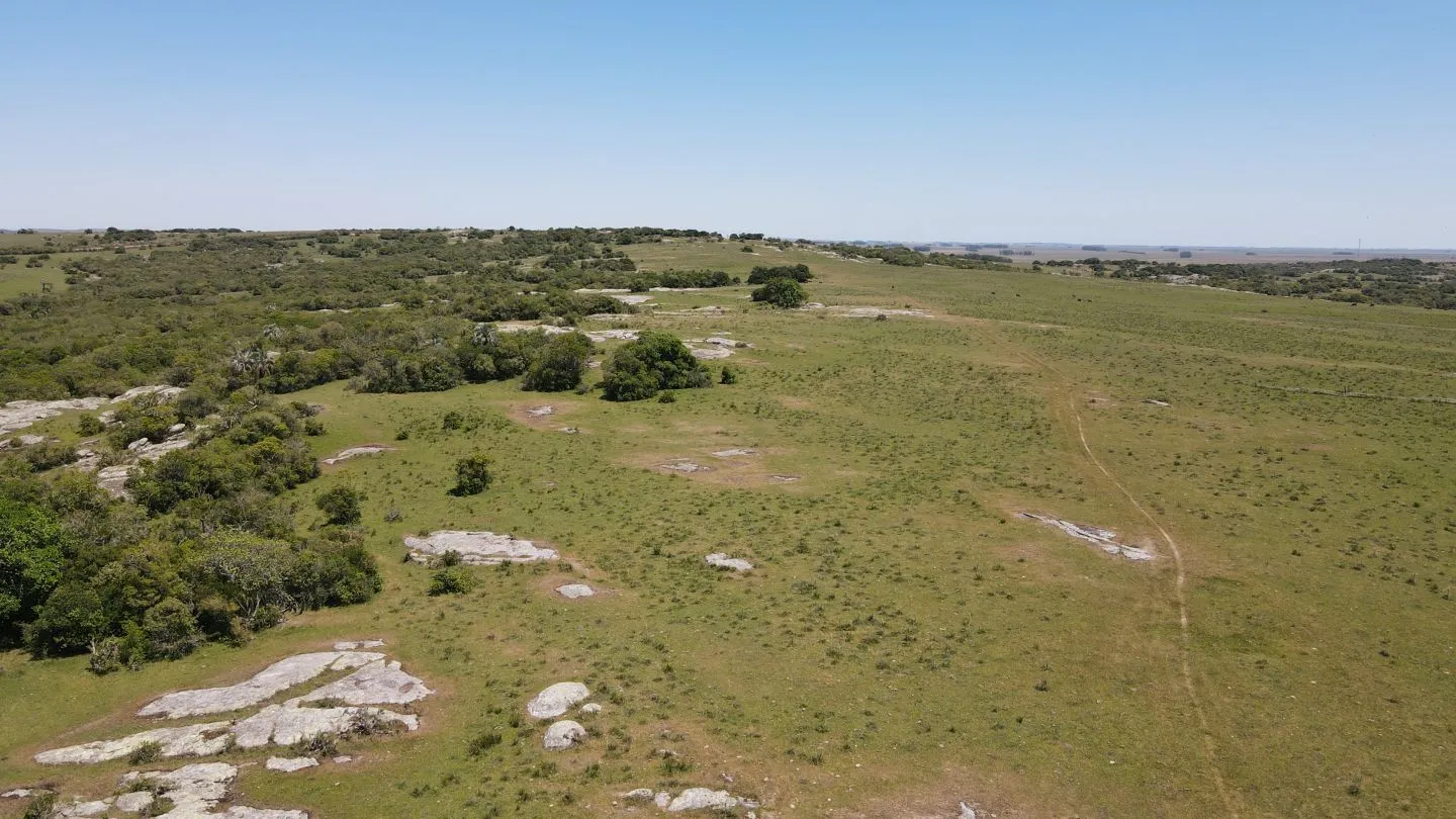 Campo Ganadero de 3000ha Rocha — foto 3
