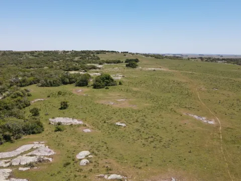 Campo Ganadero de 3000ha Rocha — foto 3