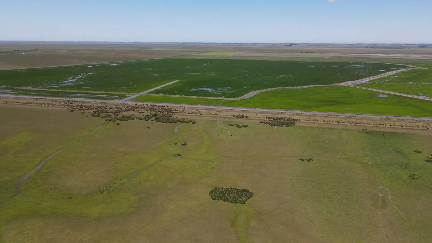 Campo Ganadero de 3000ha Rocha — foto 4