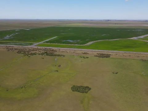 Campo Ganadero de 3000ha Rocha — foto 4
