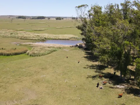 Campo Ganadero de 3000ha Rocha — foto 5