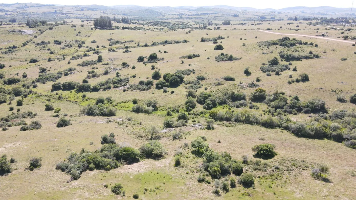 Chacras Lucero del Edén, 5Ha  ruta 12 — foto 6
