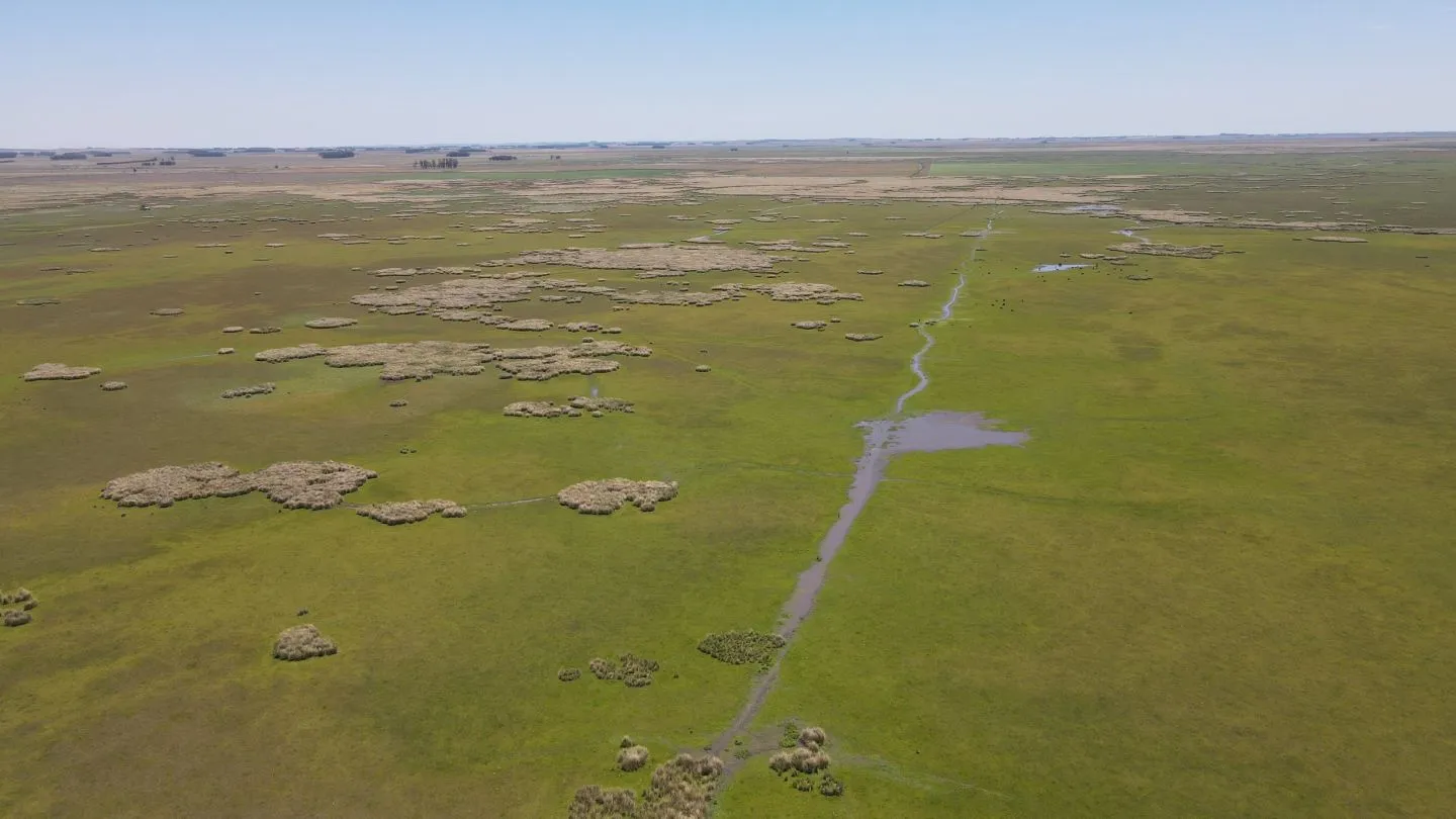 Campo Ganadero de 3000ha Rocha — foto 7