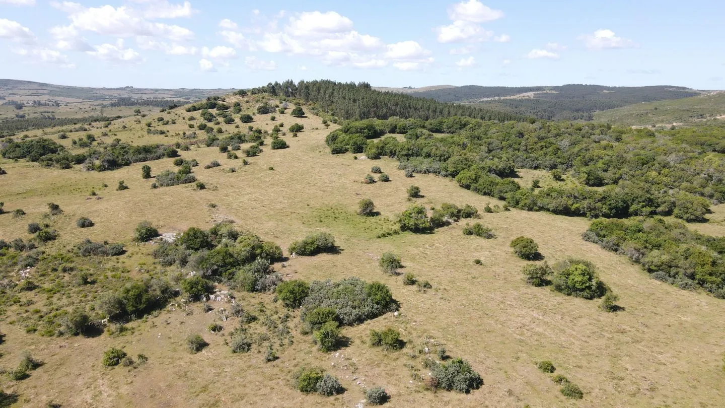 Chacras Lucero del Edén, 5Ha  ruta 12 — foto 8