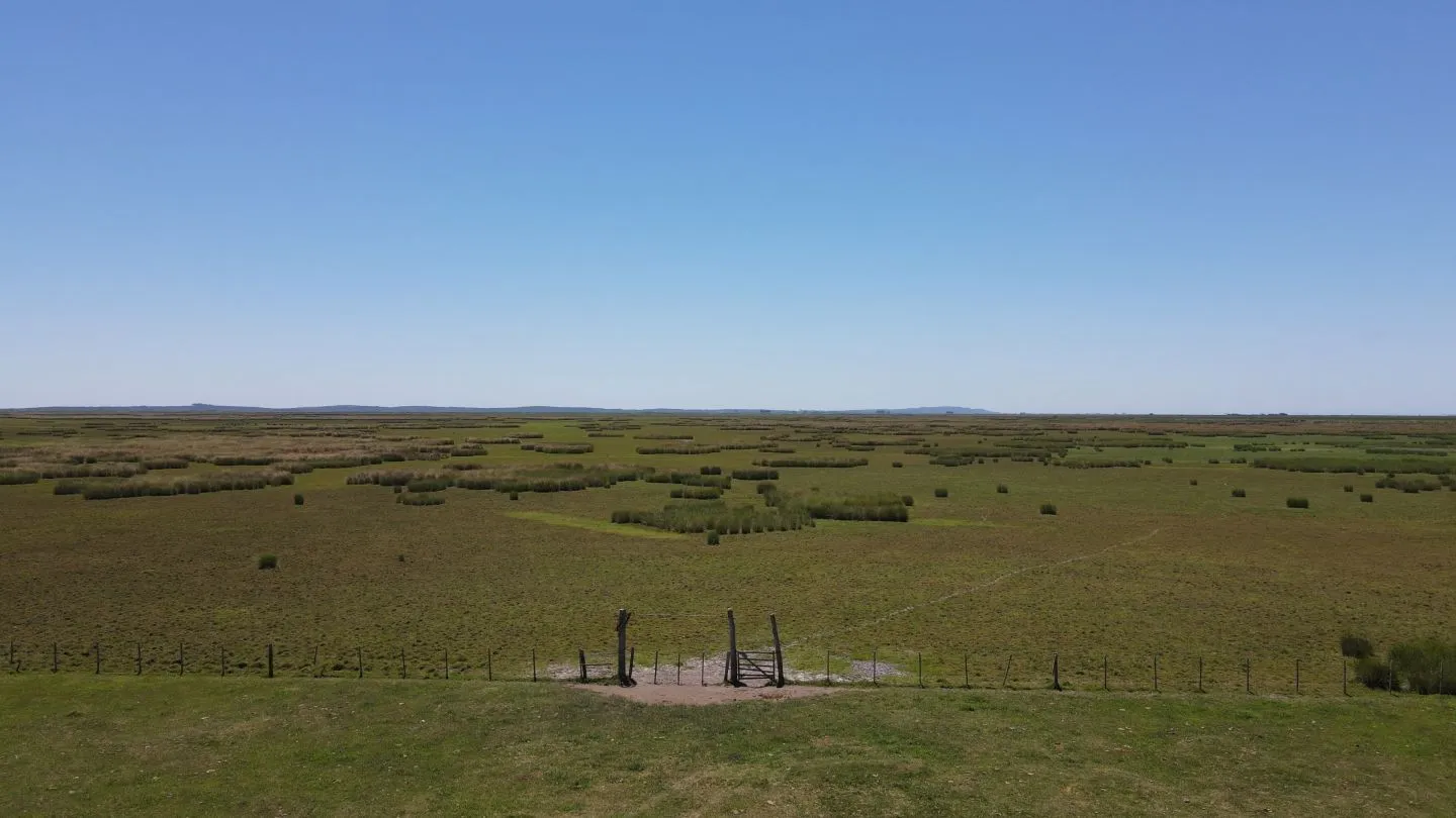 Campo Ganadero de 3000ha Rocha — foto 9