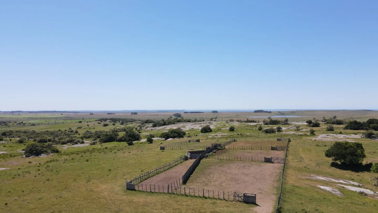 Campo Ganadero de 3000ha Rocha — foto 10
