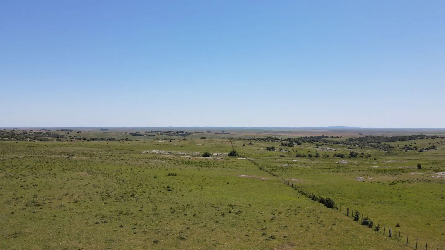 Campo Ganadero de 3000ha Rocha — foto 11