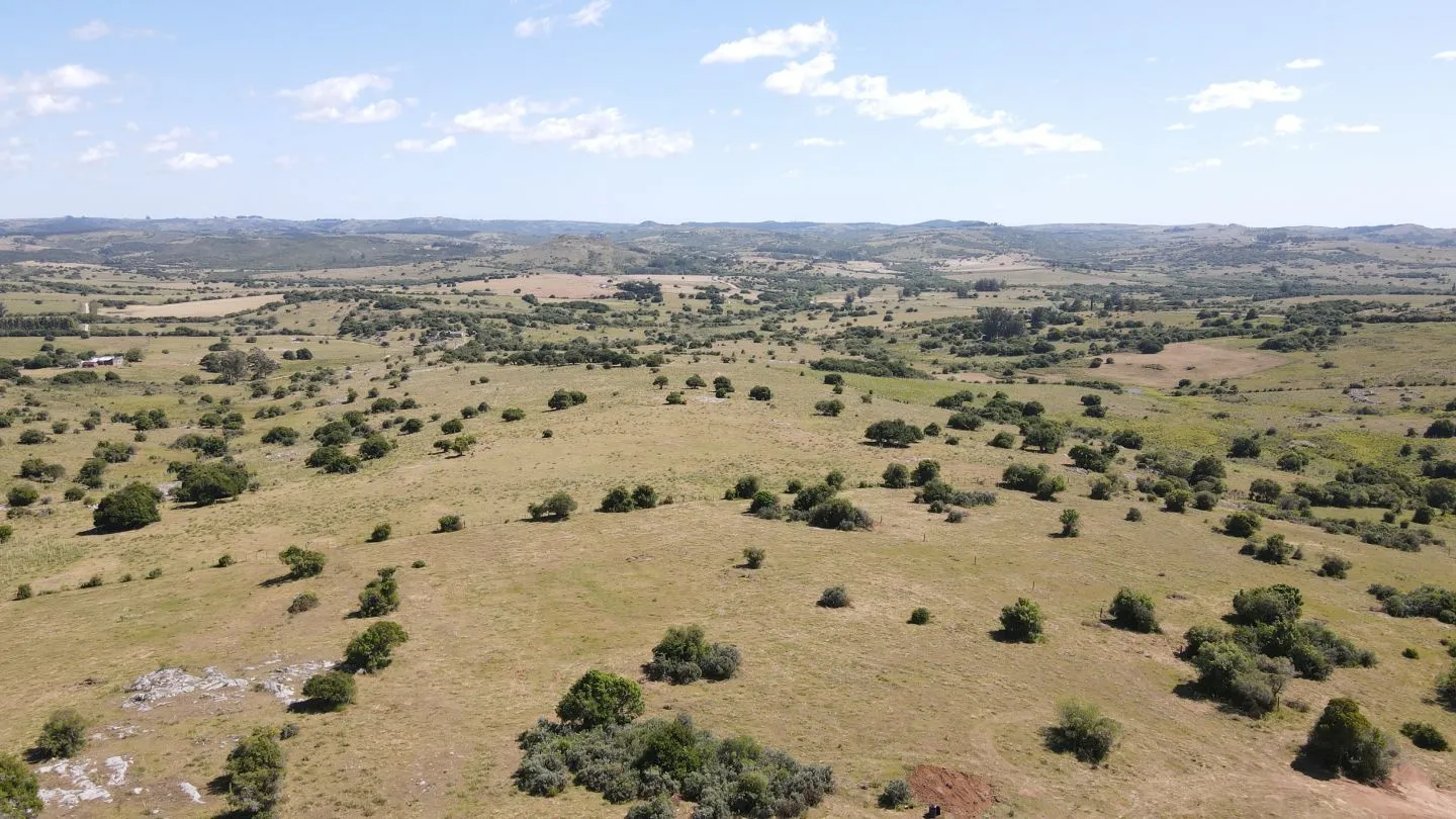 Chacras Lucero del Edén, 5Ha  ruta 12 — foto 11