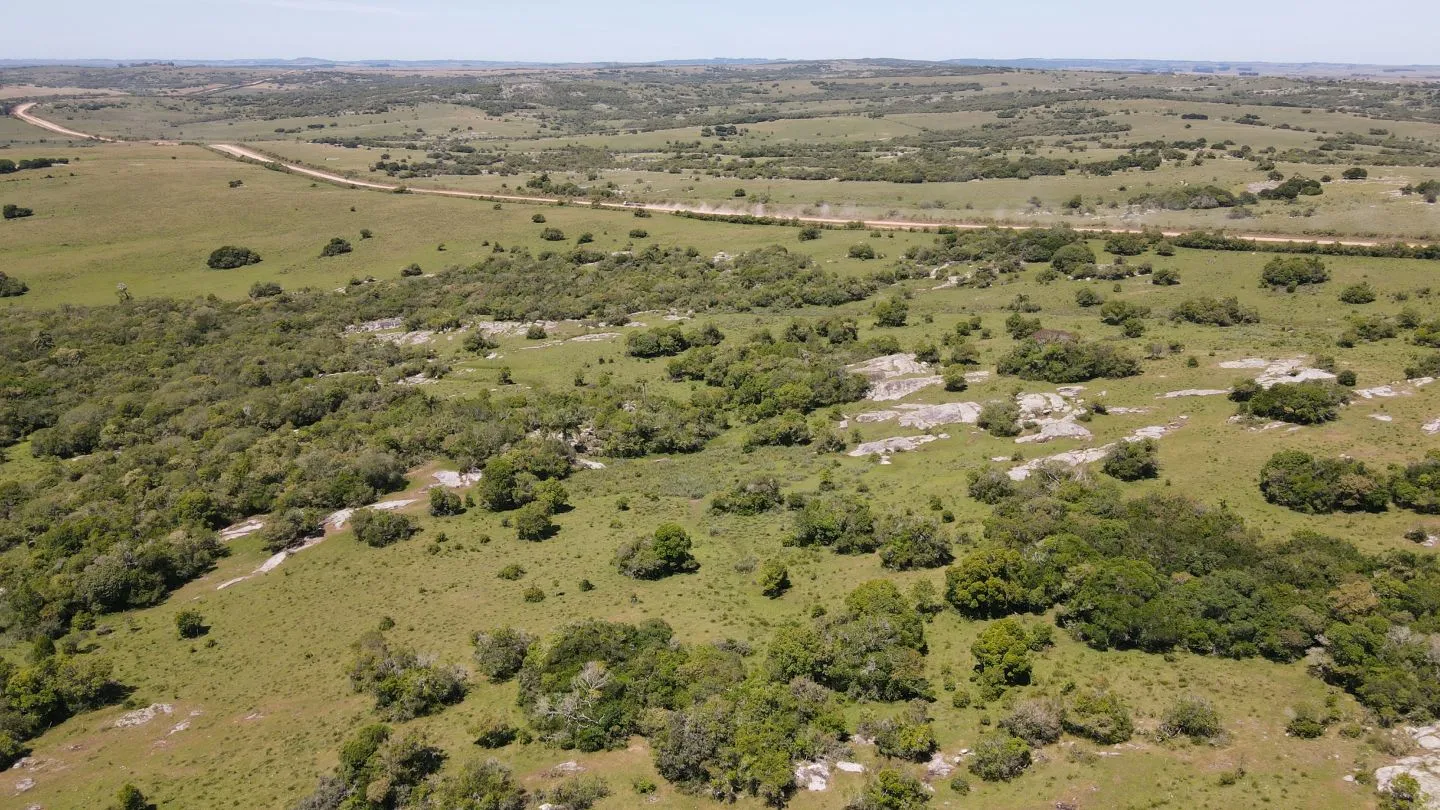Campo Ganadero de 3000ha Rocha — foto 12