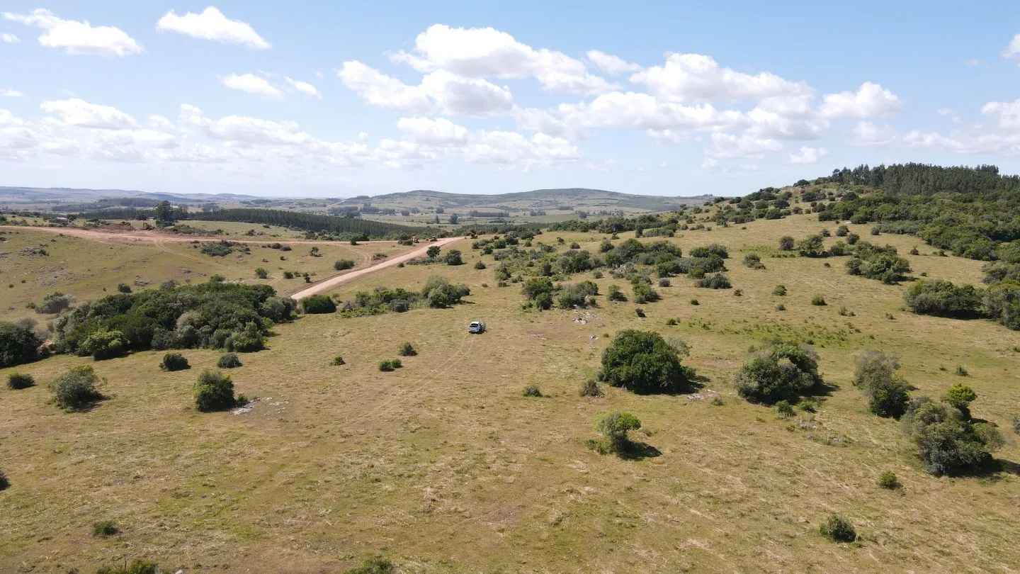 Chacras Lucero del Edén, 5Ha  ruta 12 — foto 12