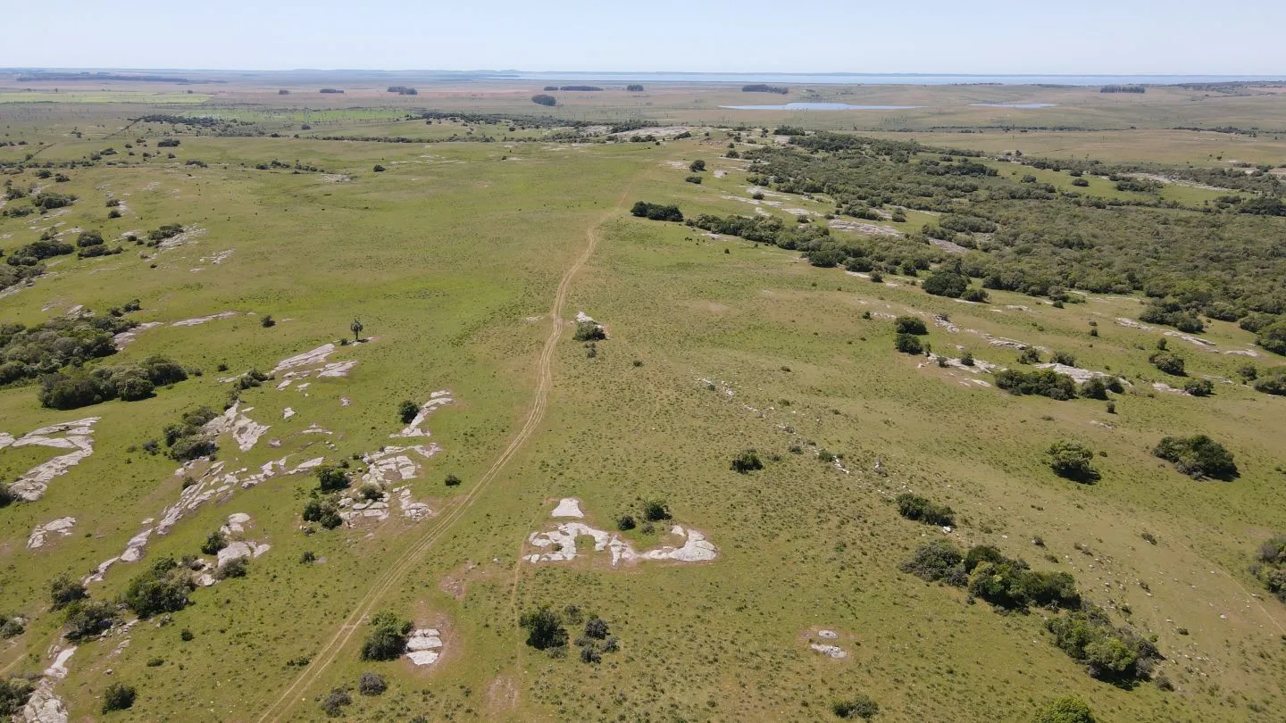 Campo Ganadero de 3000ha Rocha — foto 13